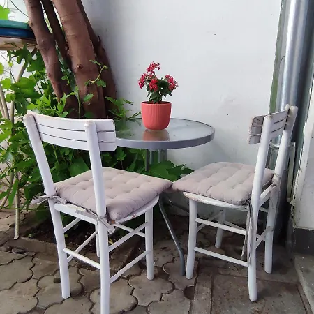 Centar No4 Parking On Request * Novi Sad